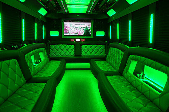 LED light system